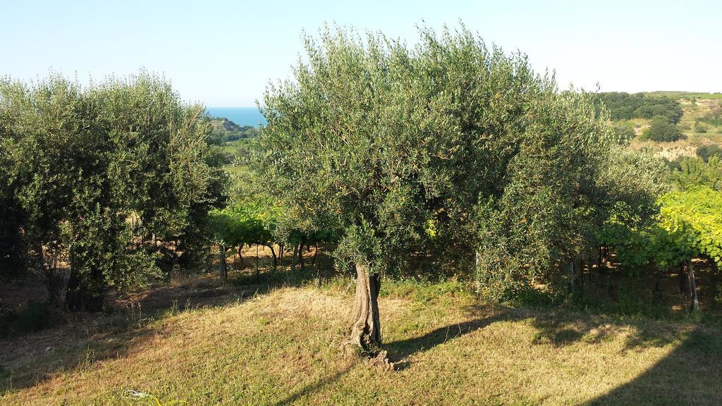 B&B Stella Dell'Adriatico Ortona Zewnętrze zdjęcie