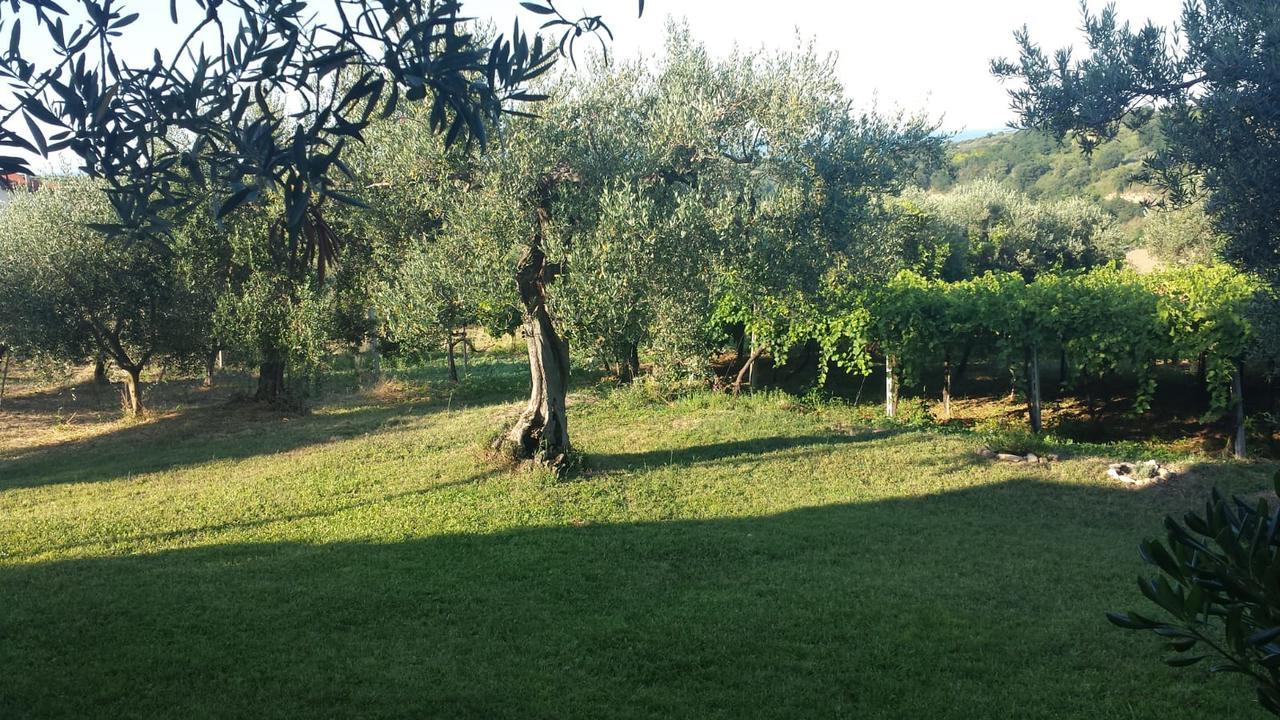 B&B Stella Dell'Adriatico Ortona Zewnętrze zdjęcie