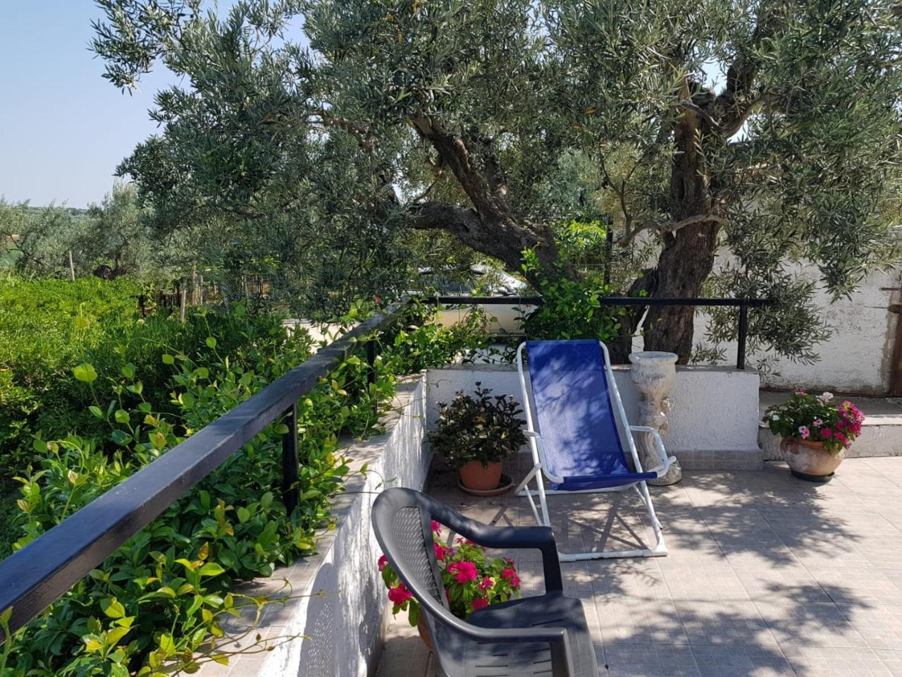 B&B Stella Dell'Adriatico Ortona Zewnętrze zdjęcie